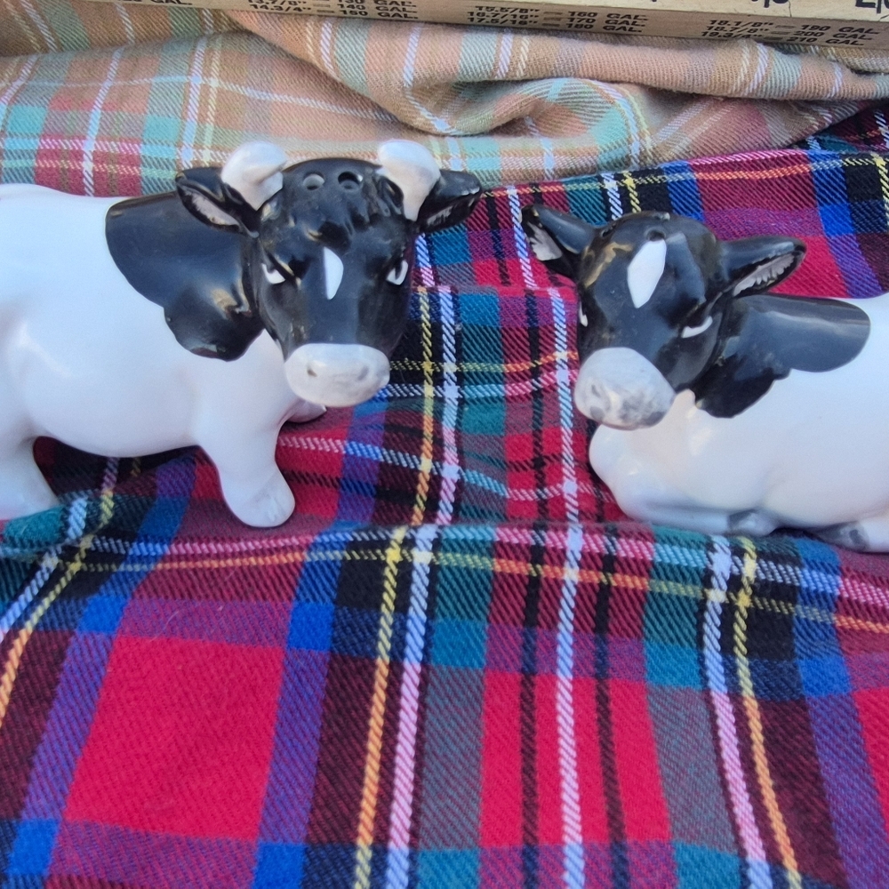 Salt And Pepper Shakers